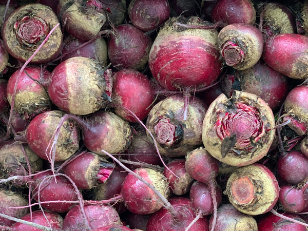 Close up image of beets after processing.