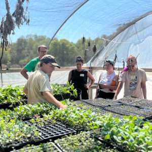 Urban Roots farmer Jenny Atmar leads a workshop with Community Ambassadors in the green house, full of sprouts.