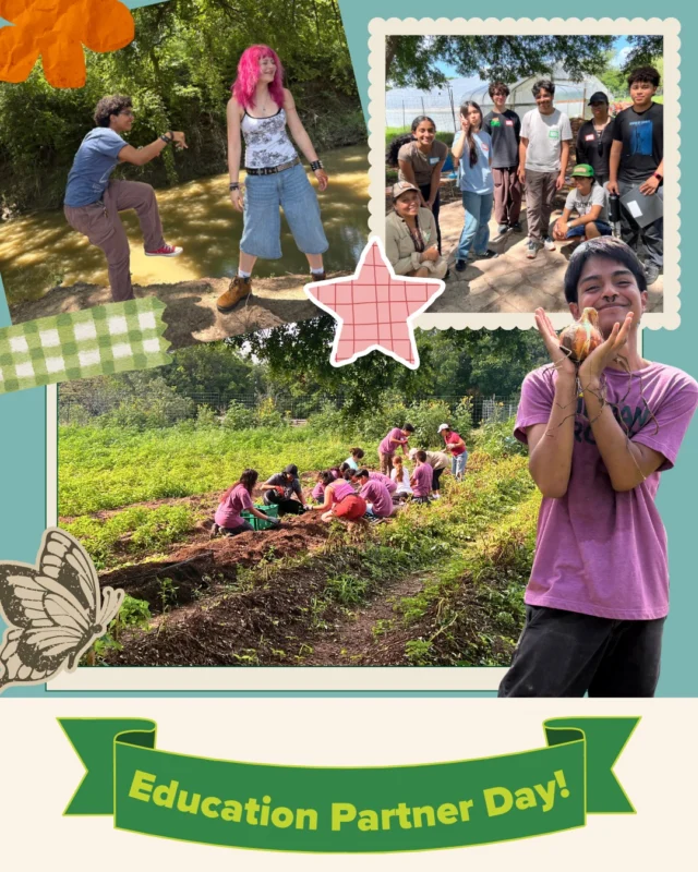 Urban Roots - The Farm Is your Classroom